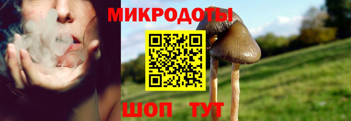Галлюциногенные грибы GOLDEN TEACHER  Вход с VPN  Белореченск 